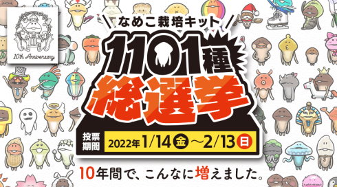 ビーワークス なめこ栽培キット 総選挙 10周年