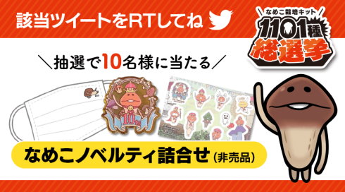 ビーワークス なめこ栽培キット 総選挙 10周年