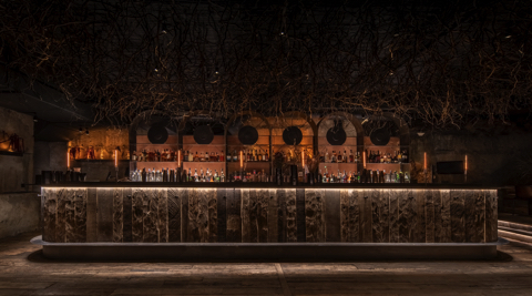 木の根を天井に吊るしたバー