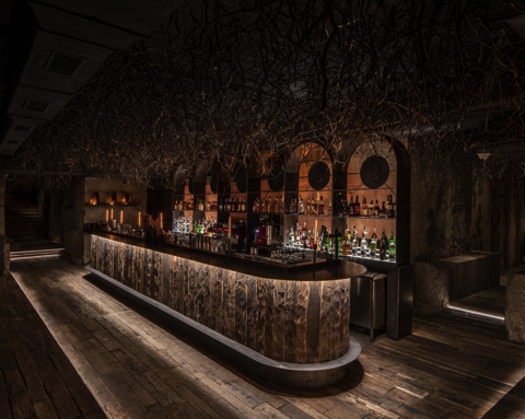 木の根を天井に吊るしたバー