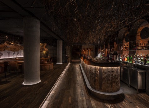 木の根を天井に吊るしたバー