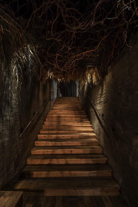 木の根を天井に吊るしたバー