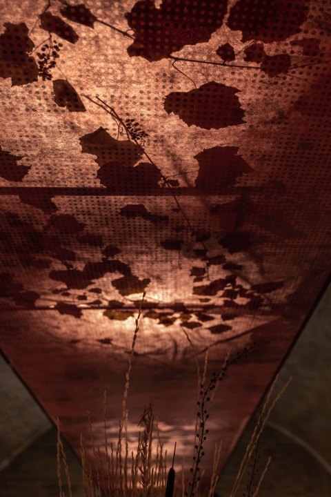 木の根を天井に吊るしたバー