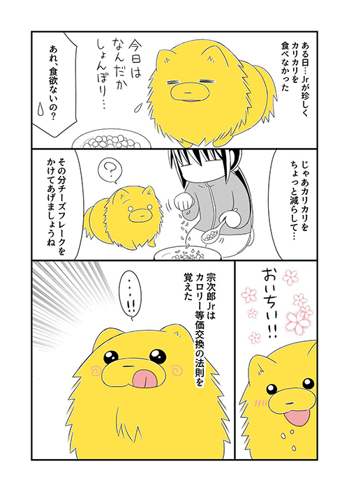 カロリー 等価交換 法則 宗次郎 Jr. カリカリ おやつ