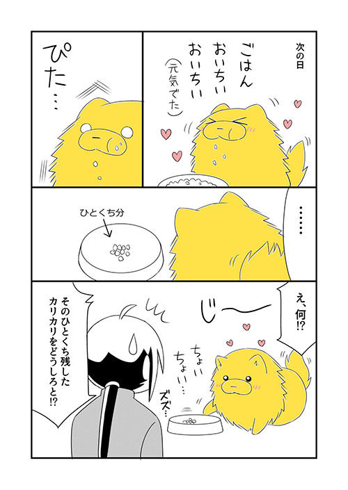 カロリー 等価交換 法則 宗次郎 Jr. カリカリ おやつ