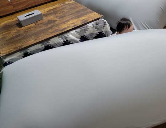 ヨギボー サイズ ミス 家が埋まった