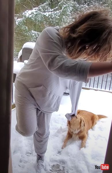 強引に誘うワンコの画像