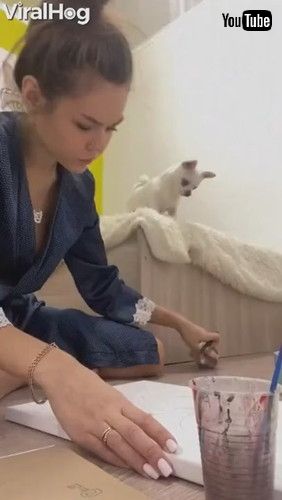 犬 飼い主 おもちゃ 拾う