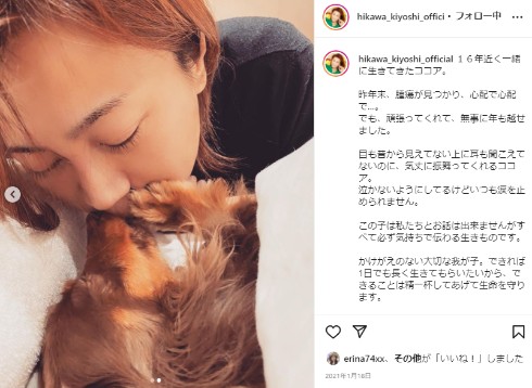 氷川きよし 愛犬 ココア kii CD シングル ジャケット 群青の弦