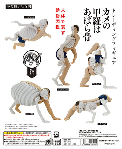 ミニチュアフィギュア「カメの甲羅はあばら骨」・ポスター