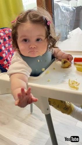 「Baby Throws Pickle on Floor Immediately After Being Told Not to - 1279608」 赤ちゃん 動画 かわいい