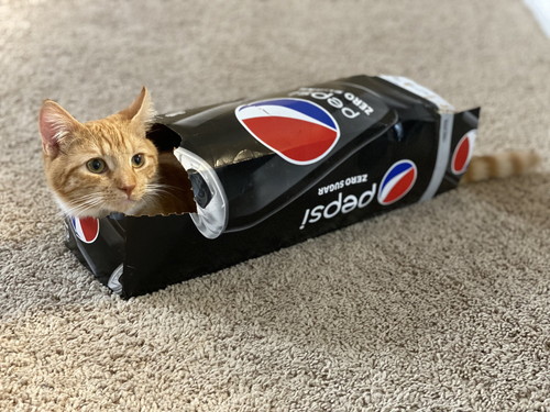 蛇口 水 飲む アルバート おっさん