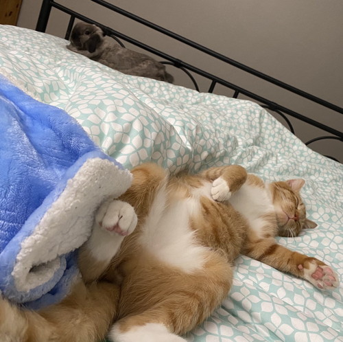 蛇口 水 飲む アルバート おっさん