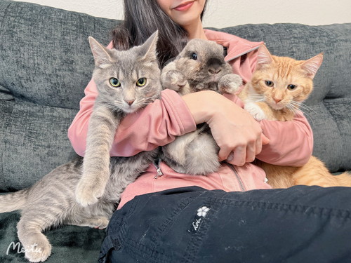 蛇口 水 飲む アルバート おっさん