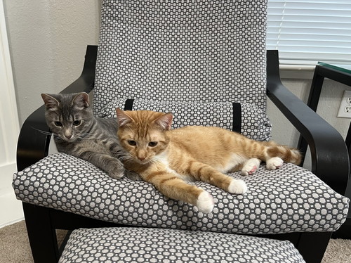 蛇口 水 飲む アルバート おっさん