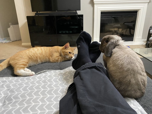 蛇口 水 飲む アルバート おっさん