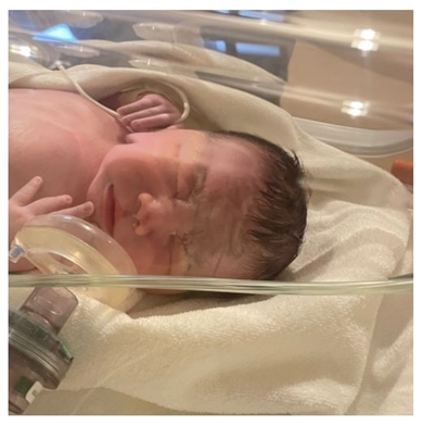 だいたひかる 出産 息子 赤ちゃん 現在 育児