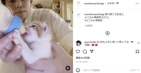 石田ゆり子 ちびた 猫 ミルクボランティア 現在