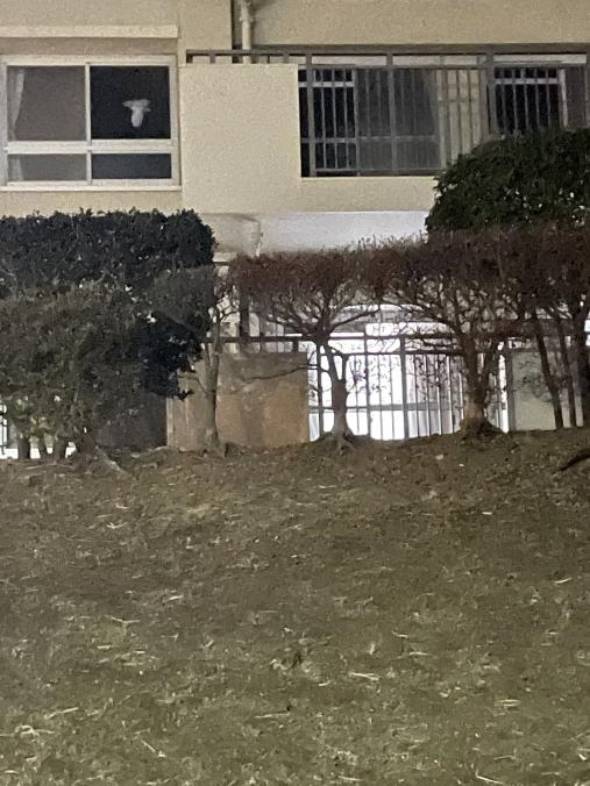 昔あった不思議な話とついこの間あった不思議な話の漫画 漫画