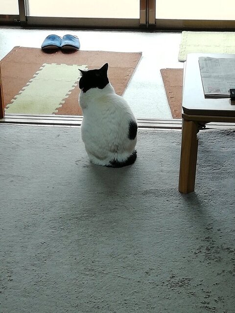 ヌンヌンさん 居場所 無くした 寒い