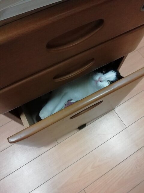 ヌンヌンさん 居場所 無くした 寒い