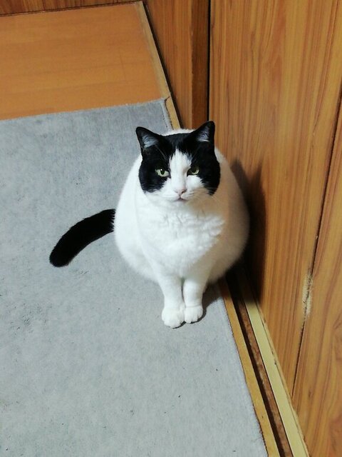 ヌンヌンさん 居場所 無くした 寒い