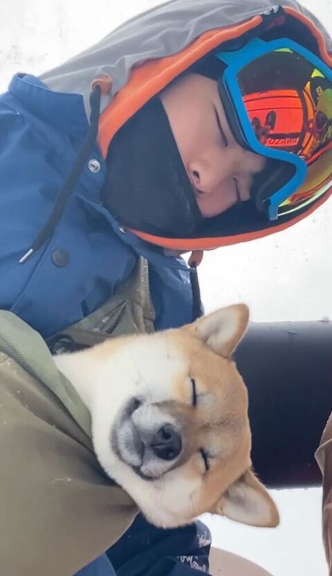 ゲレンデ 柴犬 抱っこひも 同じ角度