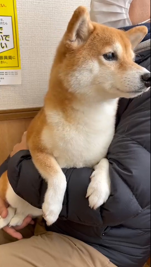 右を向くコウちゃん