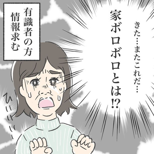 「男の子を育ててると言われがちな事」