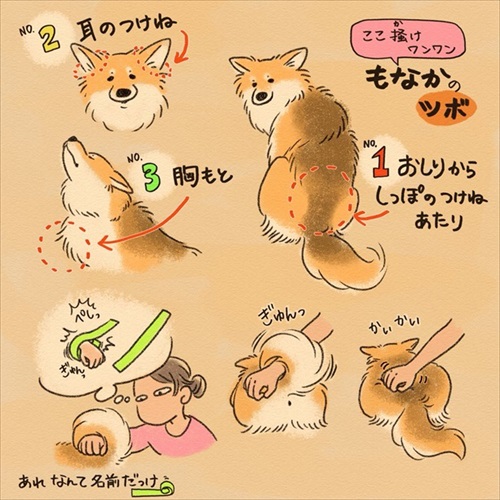 やばい粉 犬 もなか きな粉