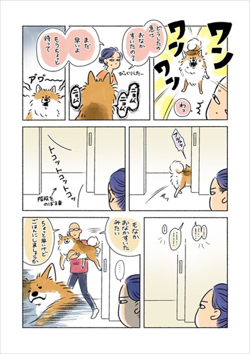 やばい粉 犬 もなか きな粉