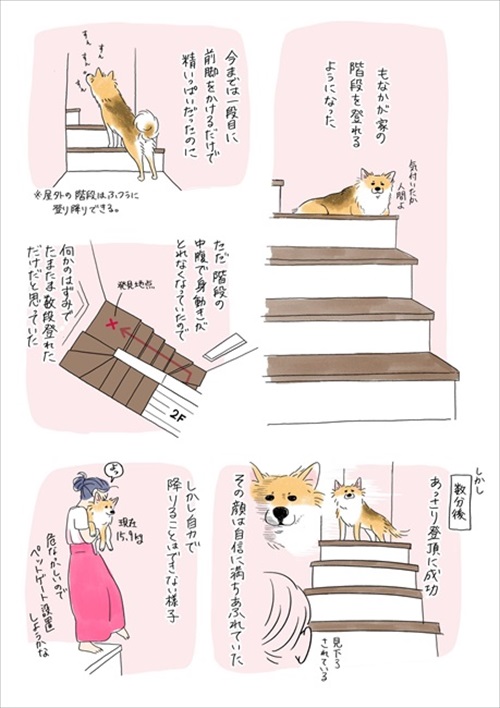 やばい粉 犬 もなか きな粉