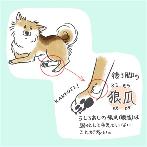 やばい粉 犬 もなか きな粉