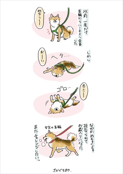 やばい粉 犬 もなか きな粉