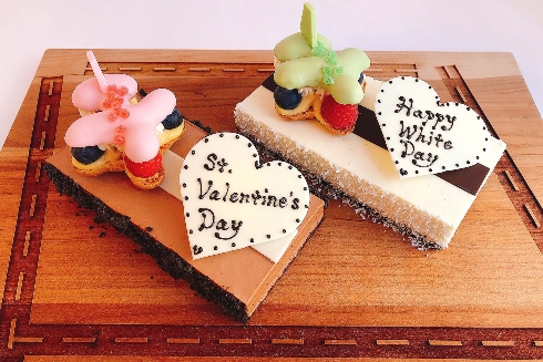 ミニ飛行機シュー バレンタインVer. ＆ ホワイトデー Ver.