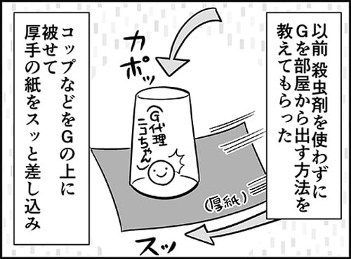 「部屋に入ってきた虫を生きたまま外に逃がす方法を試した結果」