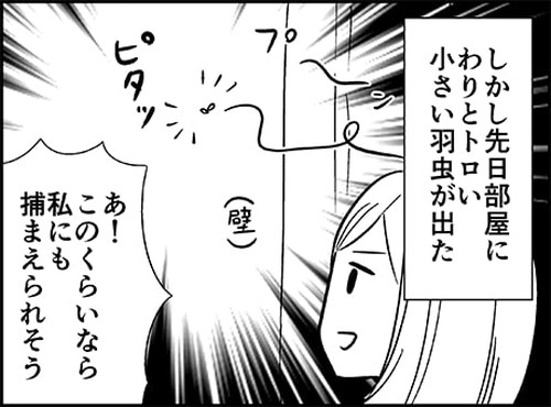 「部屋に入ってきた虫を生きたまま外に逃がす方法を試した結果」