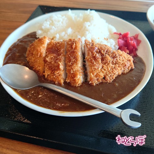 国内Aライセンス 取得