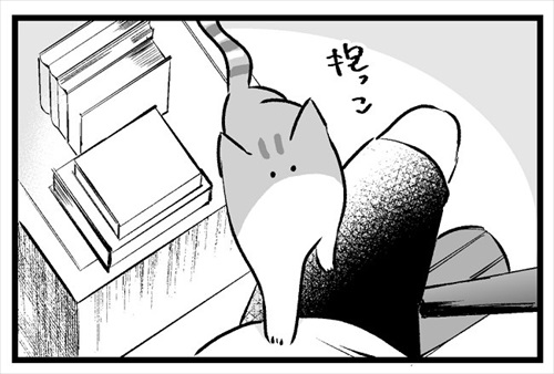 自ら負荷になりにくる猫ちゃん