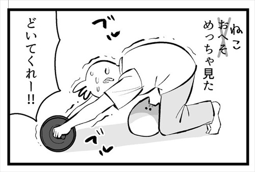 自ら負荷になりにくる猫ちゃん