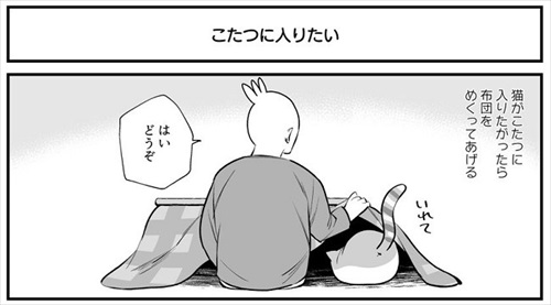 自ら負荷になりにくる猫ちゃん