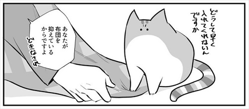 自ら負荷になりにくる猫ちゃん