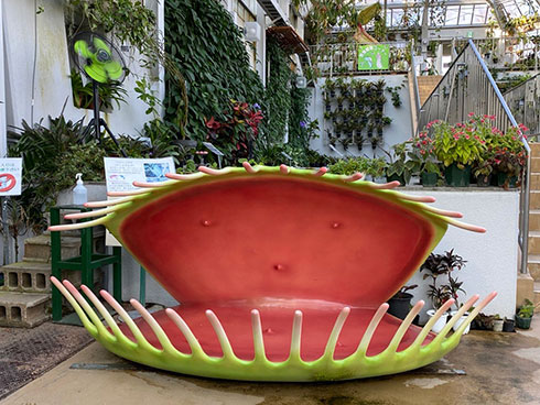 食虫植物のオブジェ