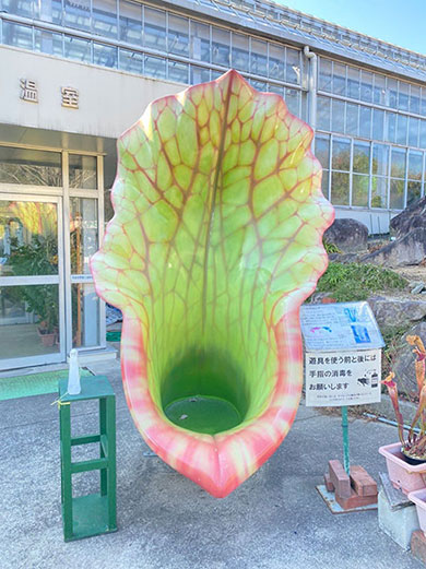 食虫植物のオブジェ