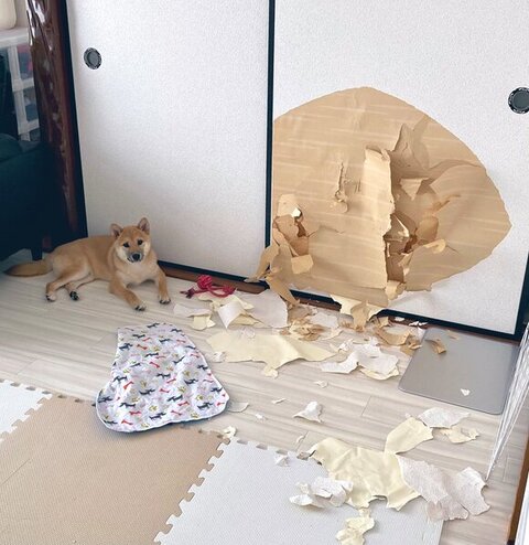 おすすめ