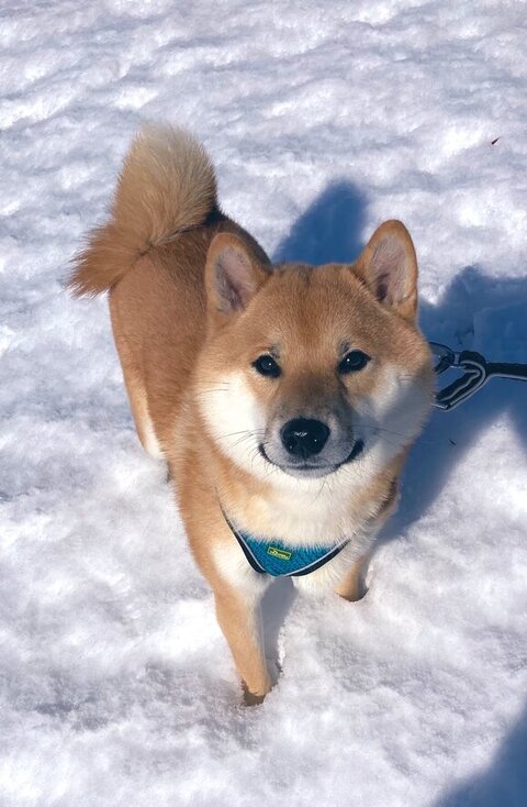 笑顔のふう太くん