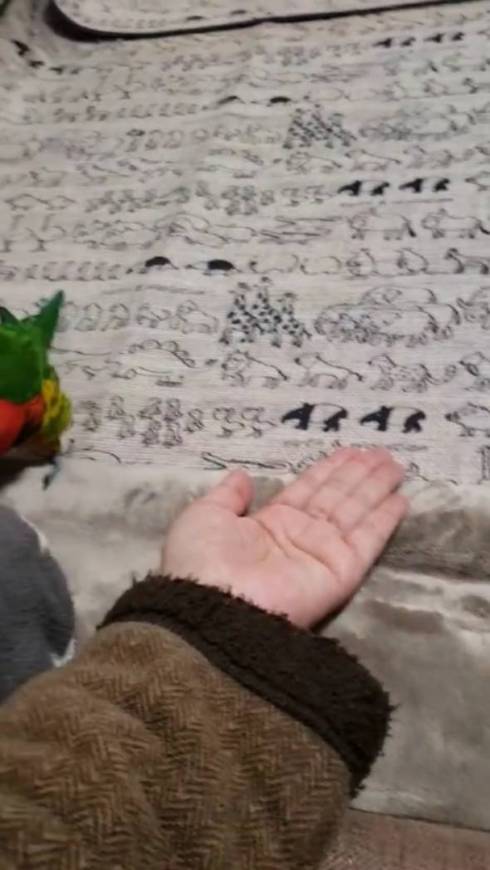 手乗りインコ キキ君 時間がかかる