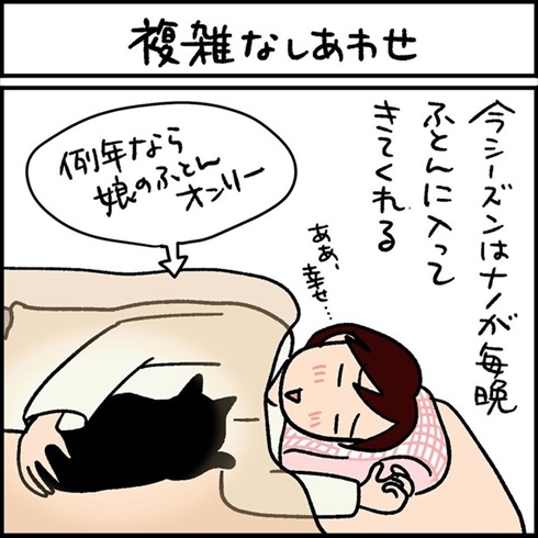 布団に入る黒猫