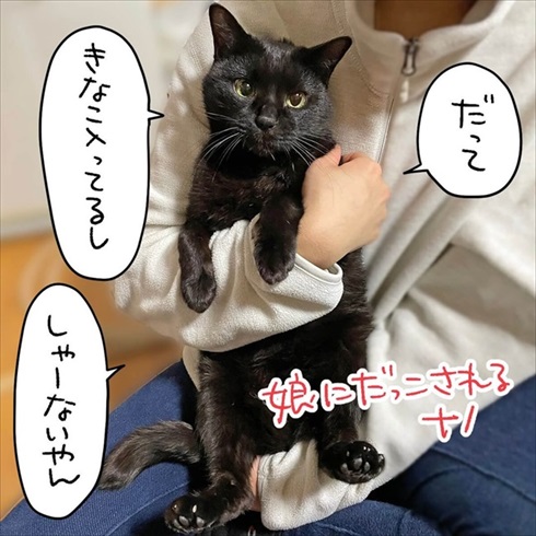 娘に抱っこされる猫