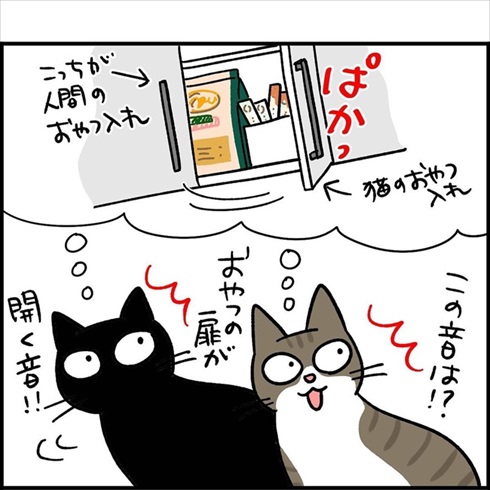 勘違いする猫たち